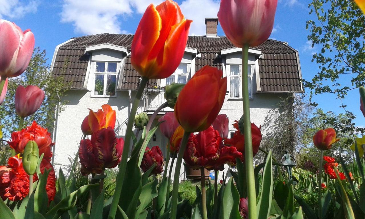 Wonderful Home Bodafors Esterno foto